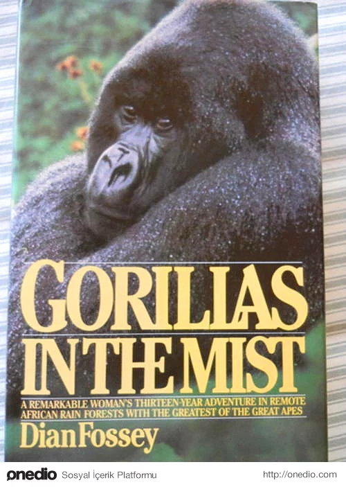 Gorillas In The Mist